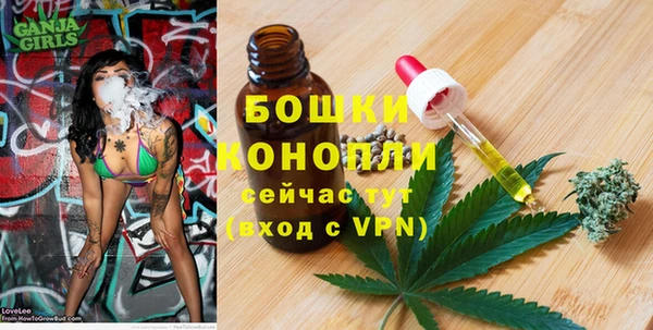 гашик Тутаев