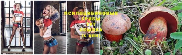 а пвп мука Туринск
