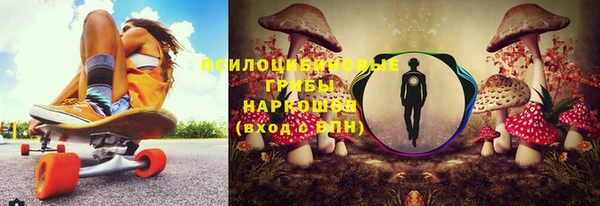 сатива Тында